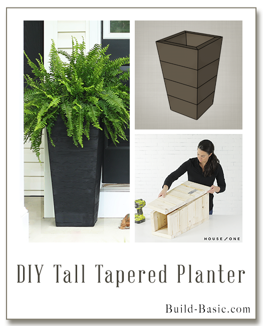 Build a DIY Tall Tapered Planter on Build Basic - Display Frame