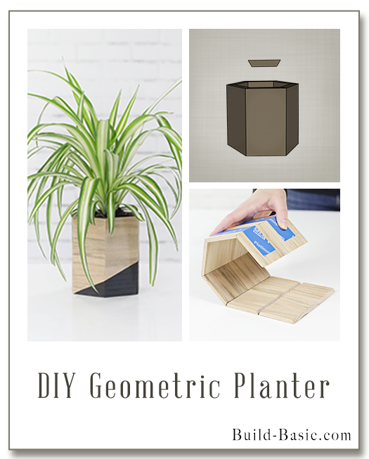Geometric Planter by House One - Display Frame